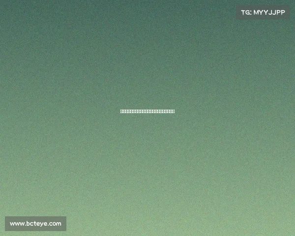 阿什利扬离开曼联加盟国米为踢球而非替补赚薪水